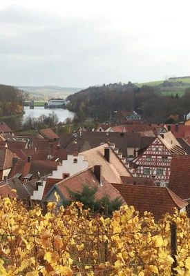 Wohnanlage Wipfeld Preview Bild